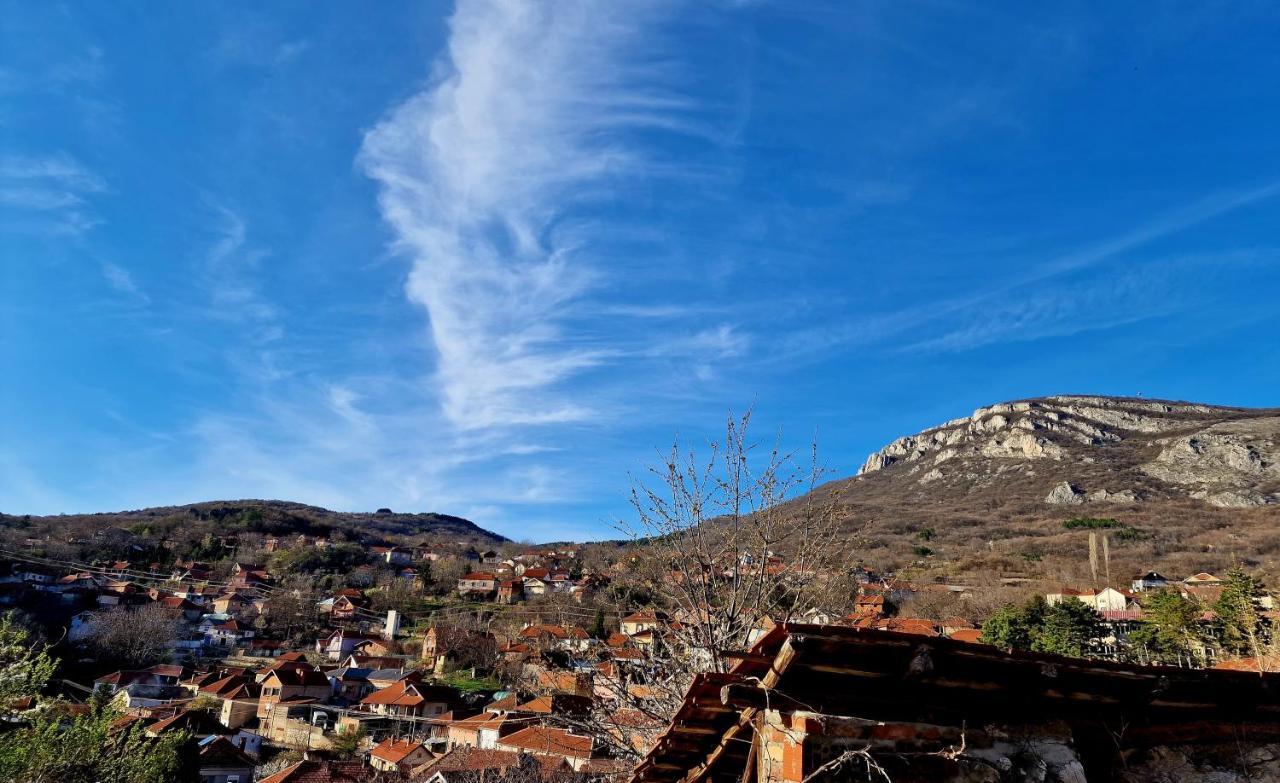 Konak -Guest House -Ramonda Serbika Ni Buitenkant foto